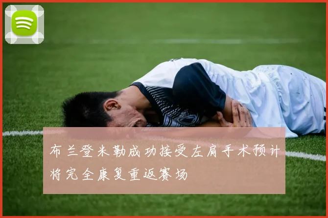 布兰登米勒成功接受左肩手术预计将完全康复重返赛场